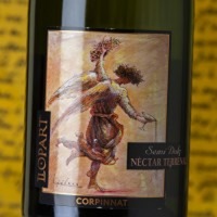 Llopart Nèctar Terrenal Semi Dolç