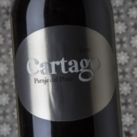 San Román Cartago Paraje del Pozo