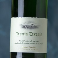 Txomin Etxaniz