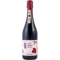L'Amabile Lambrusco Grasparossa di Castelvetro DOC halbtrocken Bio - Folicello