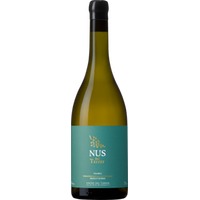 Nus del Terrer Blanc Tarragona DO trocken - Vinyes del Terrer