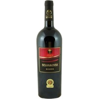 Cantine Due Palme Cellino San Marco Salice Salentino Riserva Selvarossa DOC - - Apulien, Italien