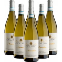 Cavalchina Amedeo Bianco di Custoza 6er Weinpaket