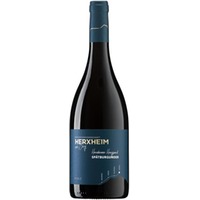 Spätburgunder Rotwein trocken Herxheimer Honigsack Spätburgunder