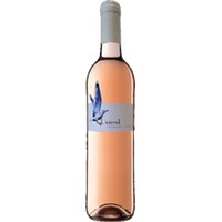 Domaine de l'Envol L'Envol Cabernet Sauvignon Pays D'Oc IGP - - Midi - Languedoc-Roussillon, Frankreich