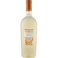 Ulisse Pecorino Premium