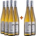 4+2 Paket Weinviertel DAC Grüner Veltliner Falkenstein trocken BIO - Weingut Pesau 