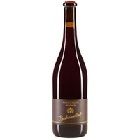 Gundheimer Mandelbrunnen Pinot Noir - Weingut Boxheimerhof