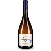 Amayna Cordón Huinca Sauvignon Blanc