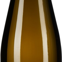Grüner Veltliner Lössterrassen