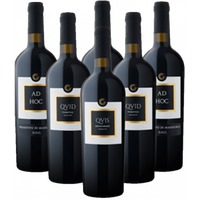 Giustini Rotwein Probierpaket Salento di 6er Angebot