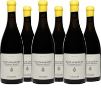 "Fontanasanta" - Manzoni Bianco Vigneti dell Dolomiti IGT Elisabetta Foradori (IT-BIO-006)