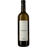 Weissburgunder Pfarrweingarten 2020 - Sattlerhof
