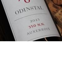 Auxerrois 350 N.N trocken