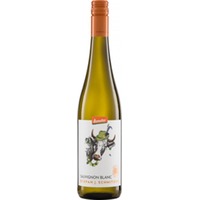 STEFAN J. SCHMITZER Sauvignon Blanc QW Pfalz Demeter Herrenhof