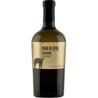 Pian di Stio Evoluzione Fiano - Azienda Agricola San Salvatore