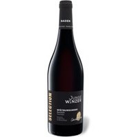 Junge Winzer Selection Spätburgunder QbA trocken, Rotwein