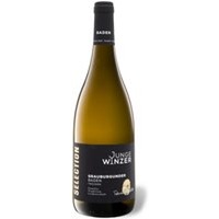 Junge Winzer Selection Grauburgunder trocken, Weißwein