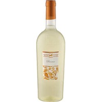 Premium Pecorino Terre D'Abruzzo Igp