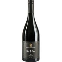 Noir de Noir Kapellenberg Dunkelfelder, Trocken, Nahe, Nahe, 2021, Rotwein