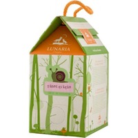 Pinot Grigio Terre d´Abruzzo IGP Bag in Box Lunaria 3l - Cantina Orsogna