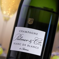 Champagner Blanc de Blancs Brut