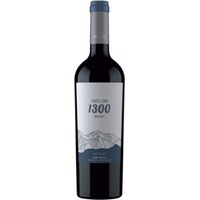 Malbec 1300 Tupungato Mendoza - Andeluna Cellars