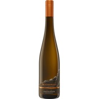 Grauschiefer Riesling trocken - Weingut Schmitges