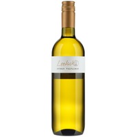 Grüner Veltliner - Weingut Lentsch - Pinots vom Leithaberg