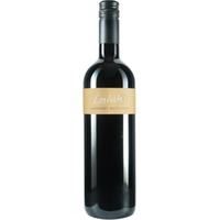 Cabernet Sauvignon - Weingut Lentsch - Pinots vom Leithaberg