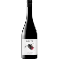 Enate Syrah-Shiraz Somontano DOP trocken - Enate