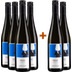 4+2 Paket Grüner Veltliner Kalkschnitt trocken BIO - Weingut Pesau 