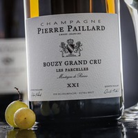 Champagner Bouzy Grand Cru Les Parcelles Extra Brut