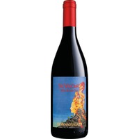 Sul Vulcano Etna Rosso DOC - Donnafugata