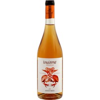 Insieme Orange - Santa Tresa