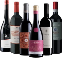 Rotwein-Favoriten aus Italien - 6x Probierpaket
