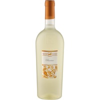 Ulisse Pecorino Premium, Terre di Chieti IGP, Abruzzen, 2025, Weißwein