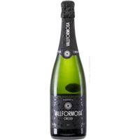 Cava Origen Brut Reserva - Vallformosa