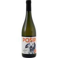 Posip White - The Dalmatian Dog