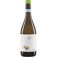 Arneis Langhe Doc Le Margherite - Brandini