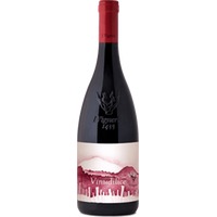 Vinudilice - I Vigneri di Salvo Foti