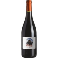 Rebo Rigotti - Pravis