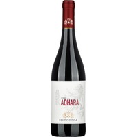 Syrah Adhara Sicilia DOC - Feudo Disisa