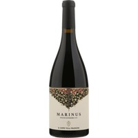 Marinus Rosso Piceno Superiore DOP - Il Conte Villa Prandone