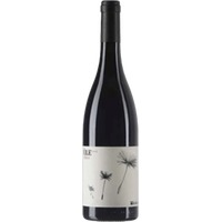 Ùle Shiraz Lazio IGT - Federici
