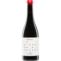 Cultivare Sumoll Samsó - Vallformosa