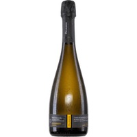 Prosecco Millesimato Spumante Extra Dry DOC - Paladin