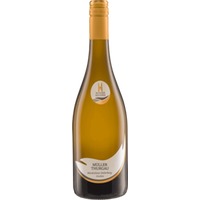 Müller-Thurgau Weinböhlaer Gellertberg trocken - WG Meißen