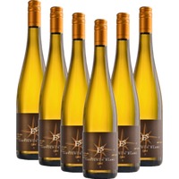 Sauvignon Blanc Goldkapsel - Ellermann-Spiegel - 6x Vorteilspaket