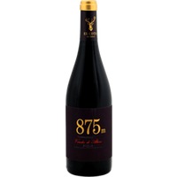 El Coto 875M Tempranillo Rioja DOC - Imaz
